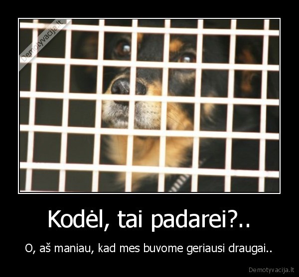 sunys,vargsai,gyvunai