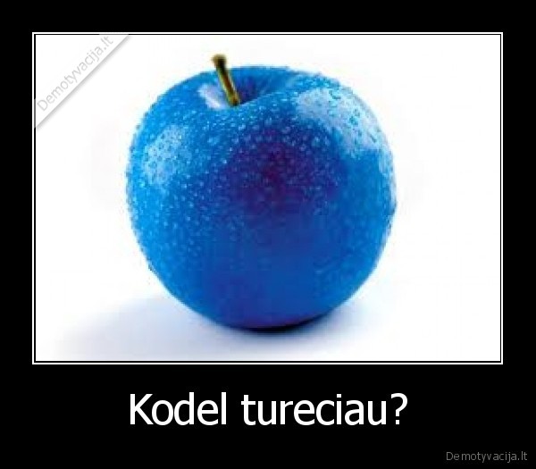 Kodel tureciau?