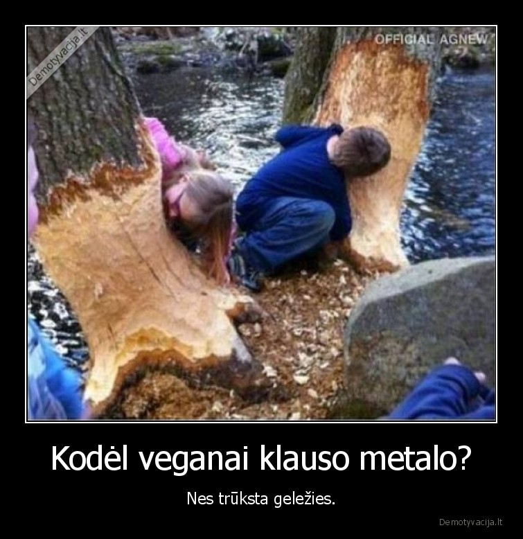 veganai,metalas,gelezis,medis