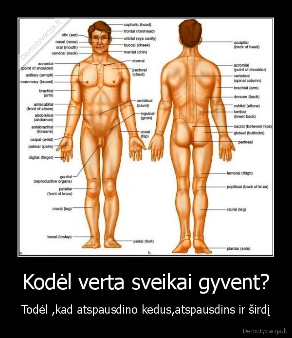 Kodėl verta sveikai gyvent?