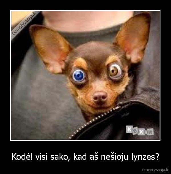 suo