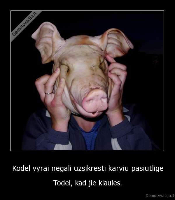 Kodel vyrai negali uzsikresti karviu pasiutlige
