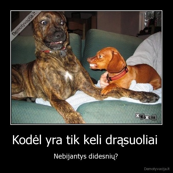 drasuolis,drasa,suo