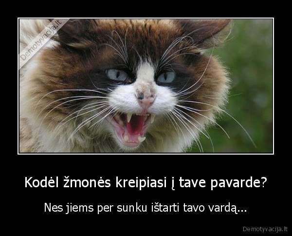 vardas,pavarde