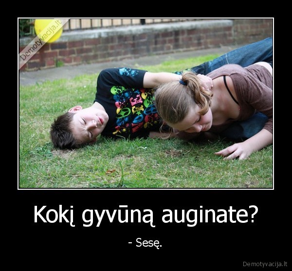augink,gyvunai,broliai,seses