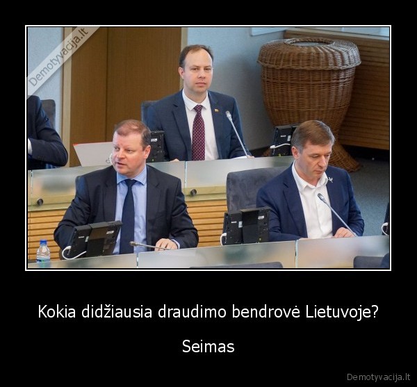 seimo, draudimai,viska, draudzia