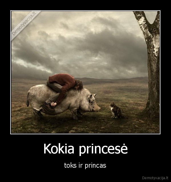 kiaule,zmogus,katinas,princas,princese
