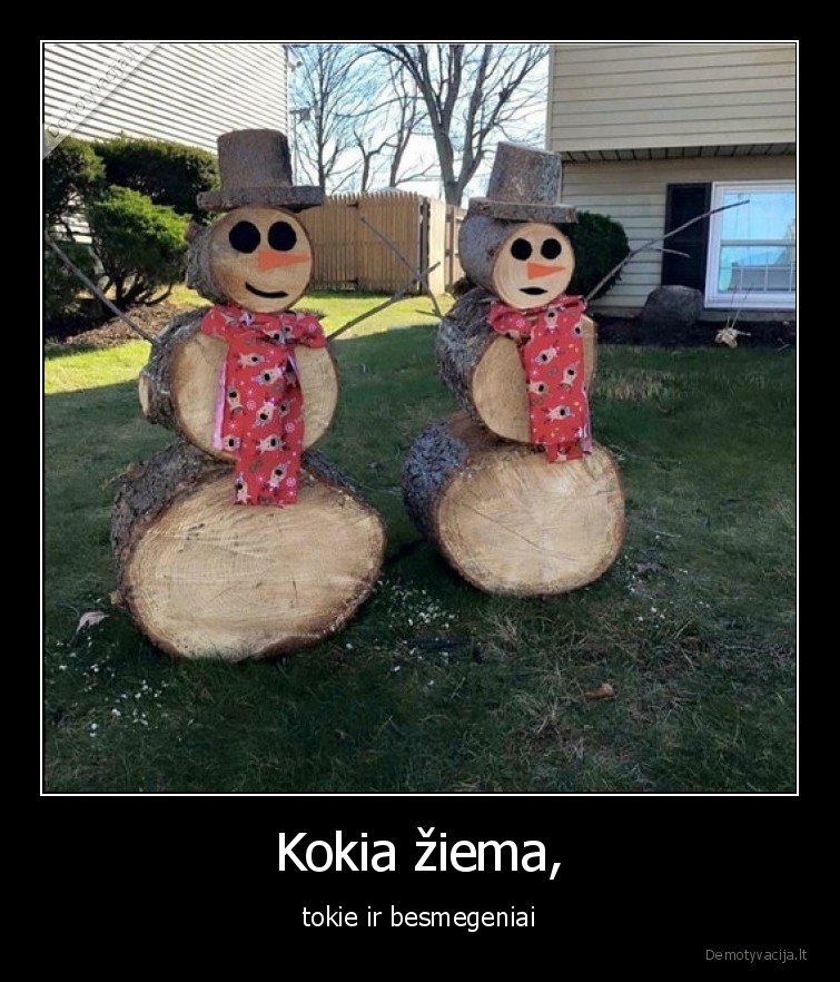 ziema,besmegeniai,medis,sniegas