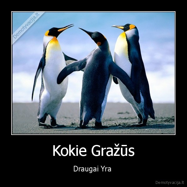 Kokie Gražūs