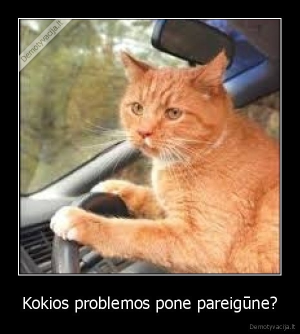Kokios problemos pone pareigūne?