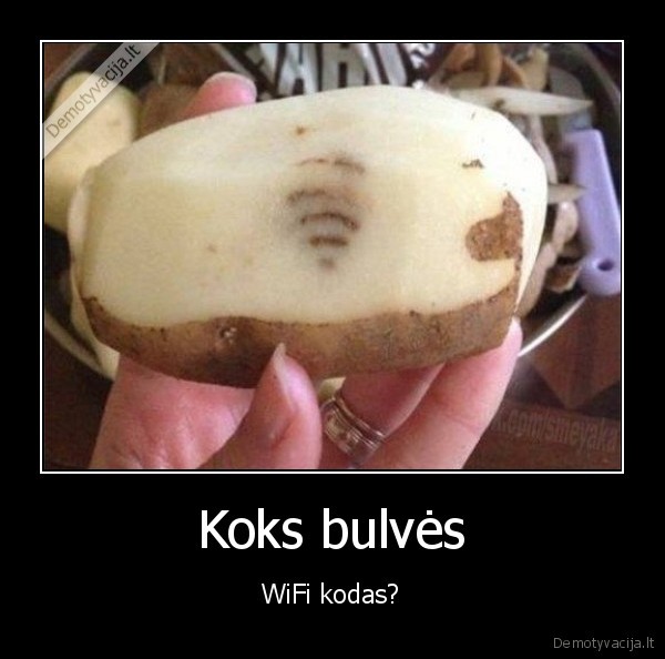 wifi,bulve