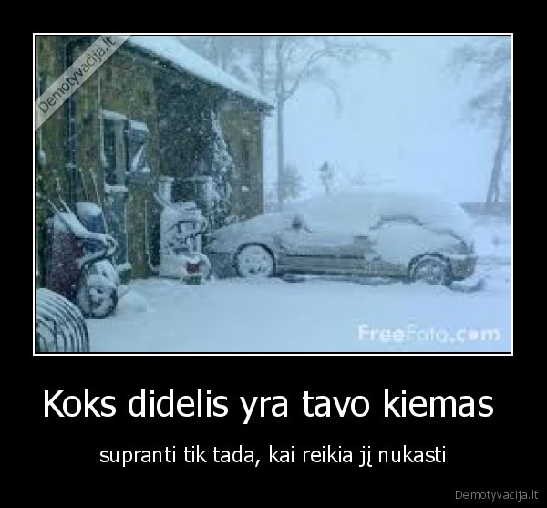 sniegas,kiemas,ziema
