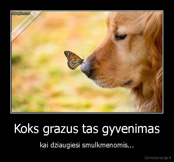 Koks grazus tas gyvenimas