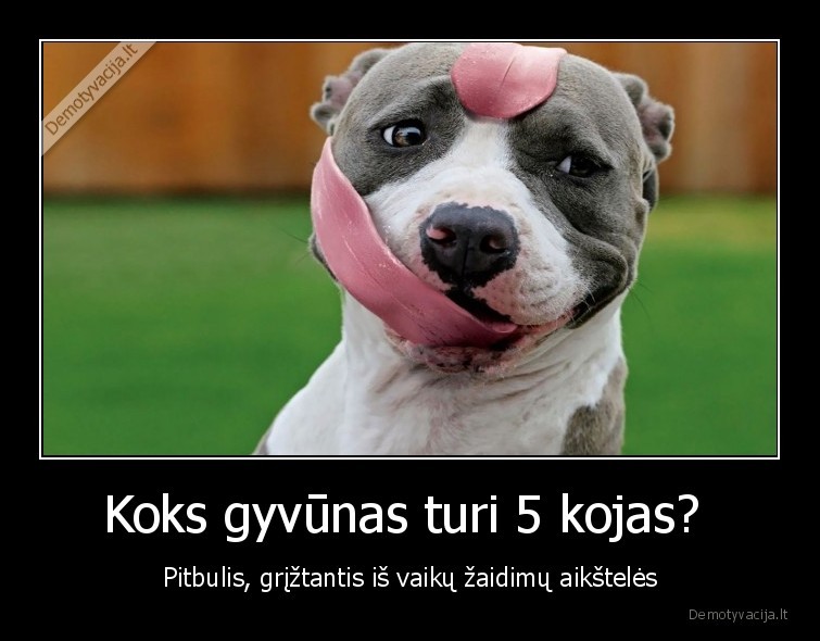 koja, vaikas, suo, juodas