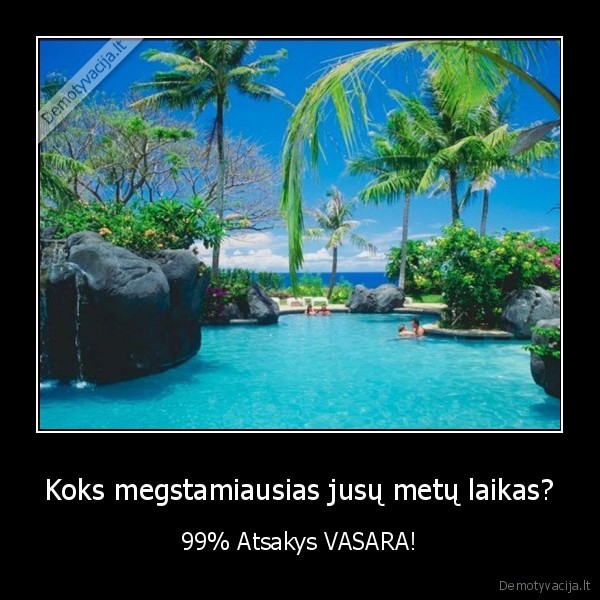Koks megstamiausias jusų metų laikas?