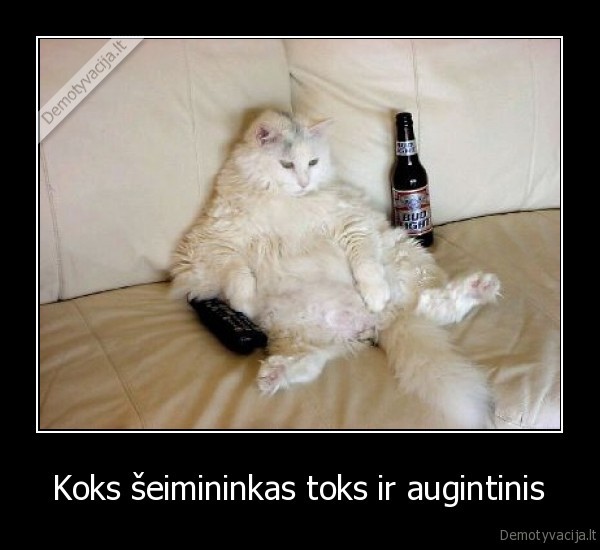 Koks šeimininkas toks ir augintinis