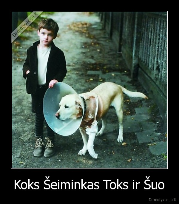 Koks Šeiminkas Toks ir Šuo