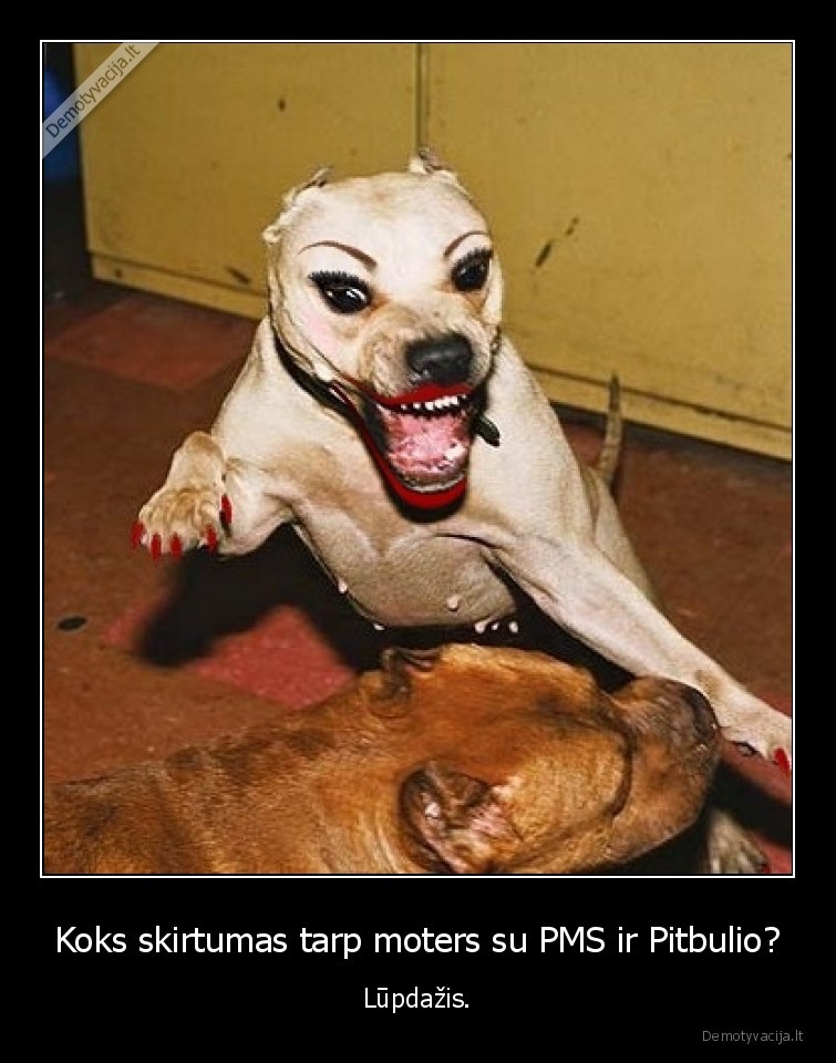 moteris,pms,pitbulis