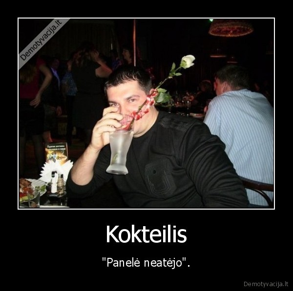 koteilis,geria,pasimatymas