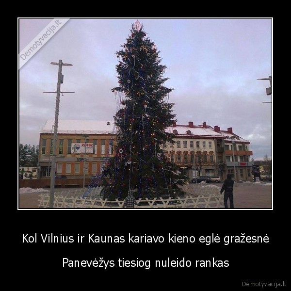 panevezio, egle,kaledine, egle,sventes