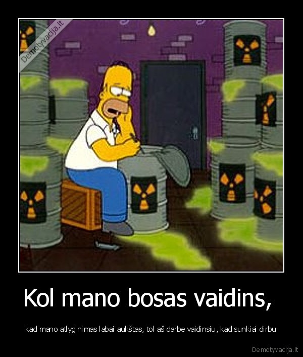 Kol mano bosas vaidins, 