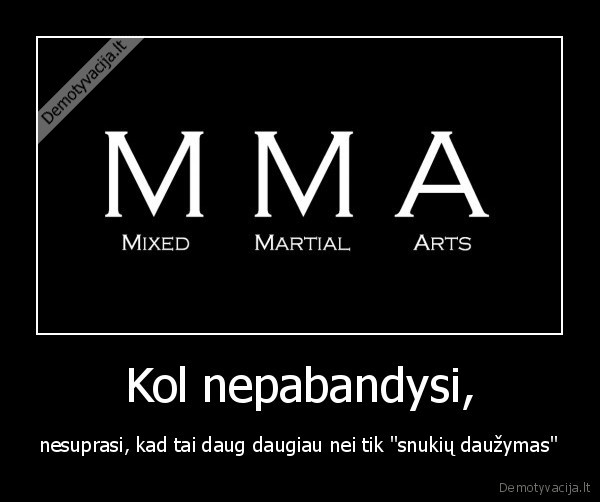 mma,muay, thai,no, fear,no, rules