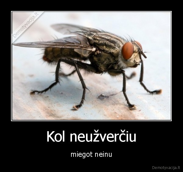 Kol neužverčiu