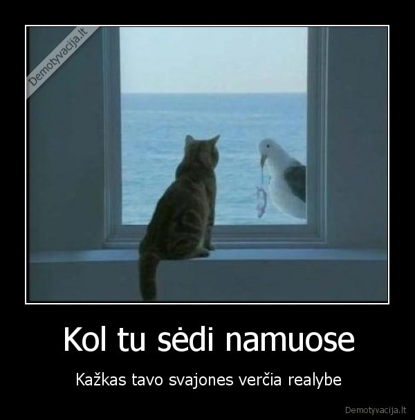 Kol tu sėdi namuose