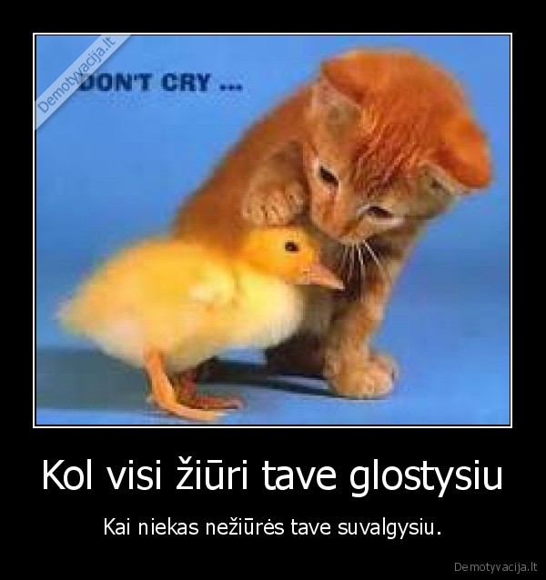 Kol visi žiūri tave glostysiu
