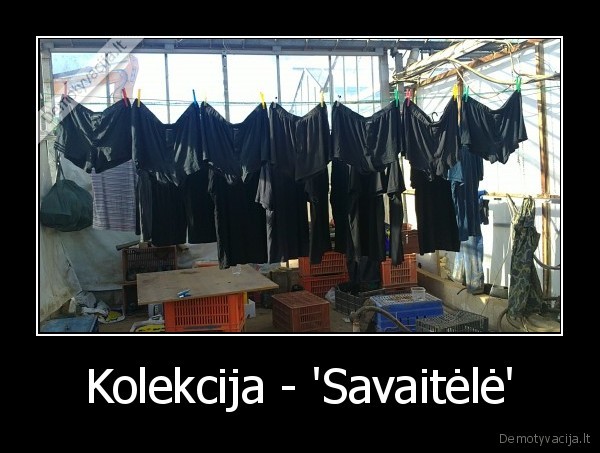 calvin, klein,dolce, gabbana,armani,diesel,adidas,nike,puma,dirbu, gariunuos