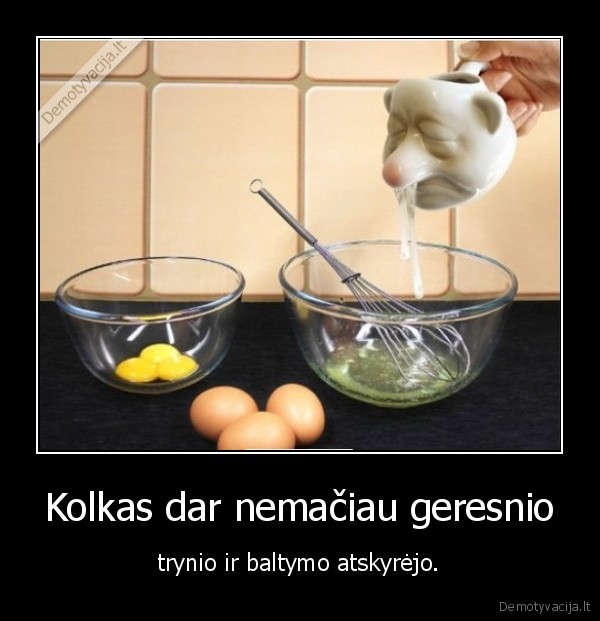 trynysm, baltymas,kiausinis