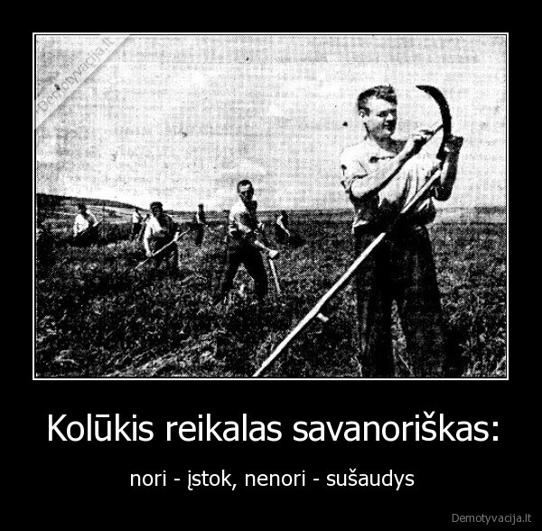 Kolūkis reikalas savanoriškas: