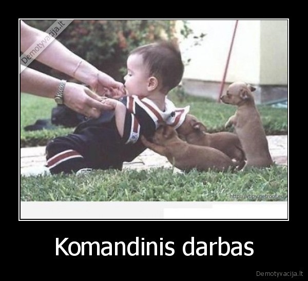 Komandinis darbas