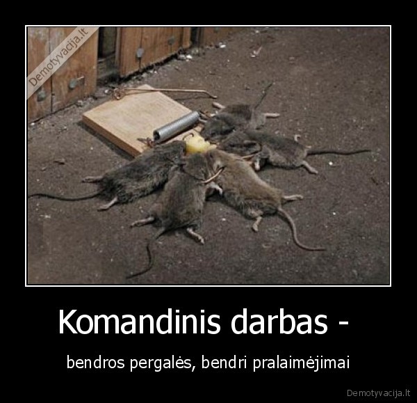 suris, zudikas