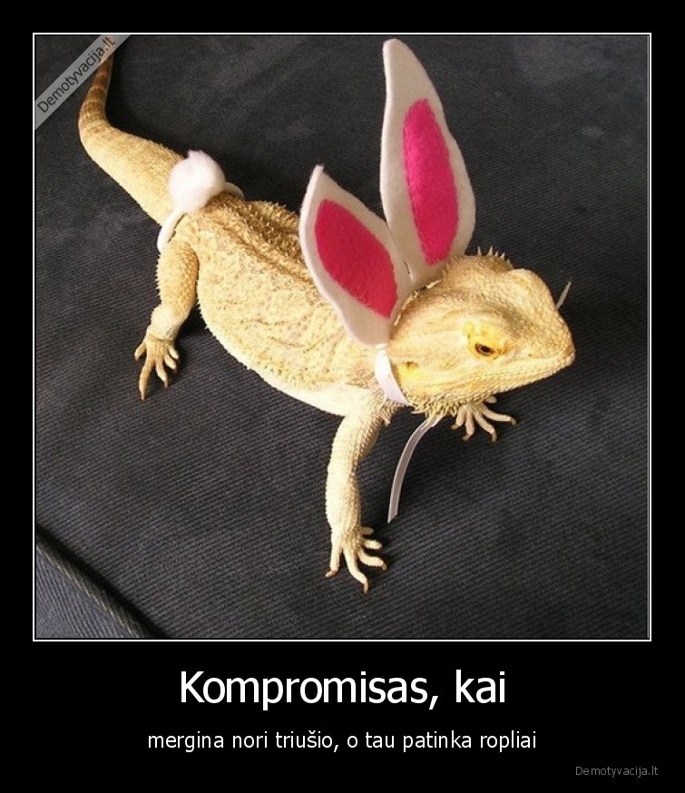 triusis,roplys,chameleonas,gyvunai,kompromisas