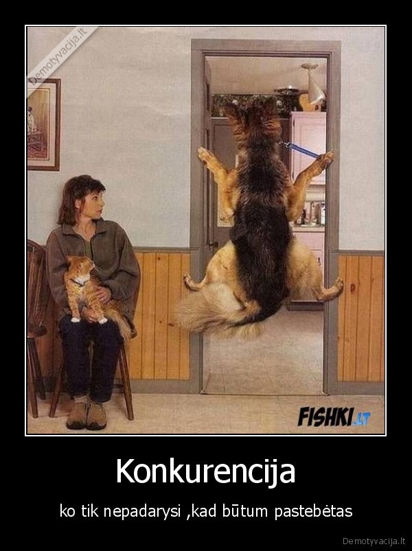 Konkurencija