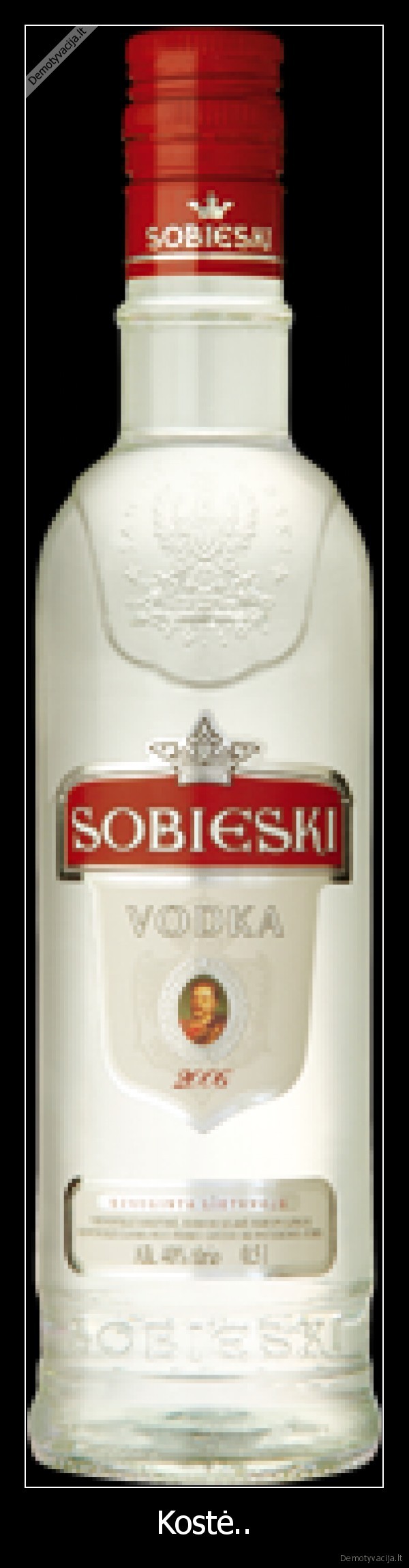Kostė..