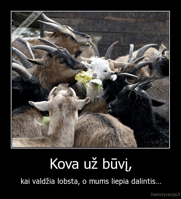 kova