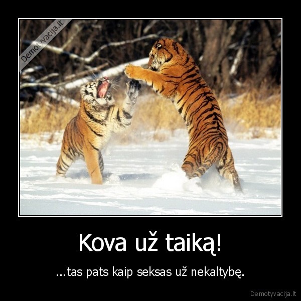 Kova už taiką!