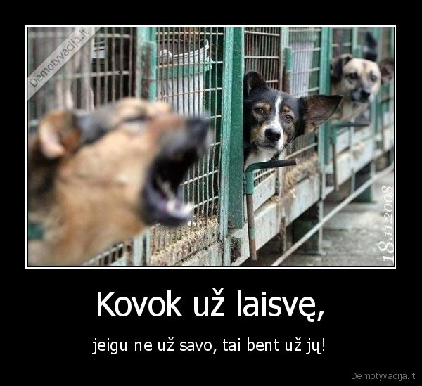Kovok už laisvę,