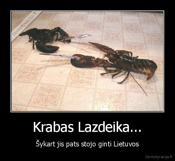 krabas,atsibodo, tie, jusu, orakulai