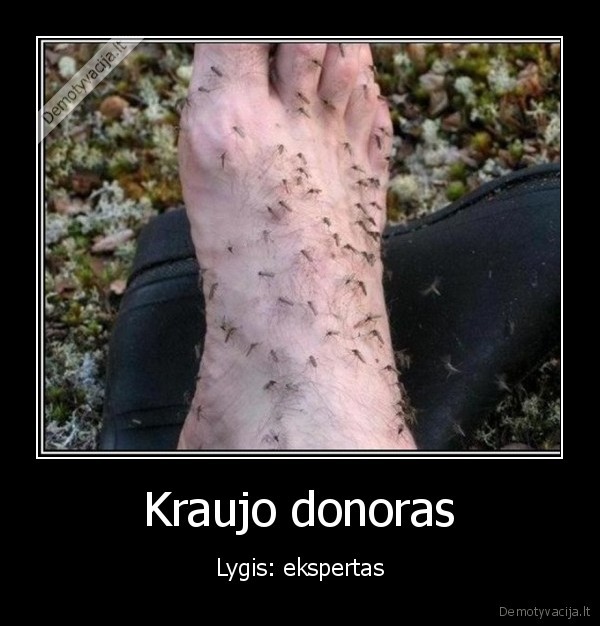 Kraujo donoras