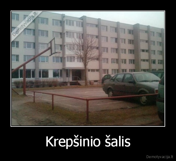 Krepšinio šalis