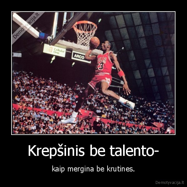 krepsinis,lkl,nba,jordan,basketball,ball,zalgiris,krutine,mergina