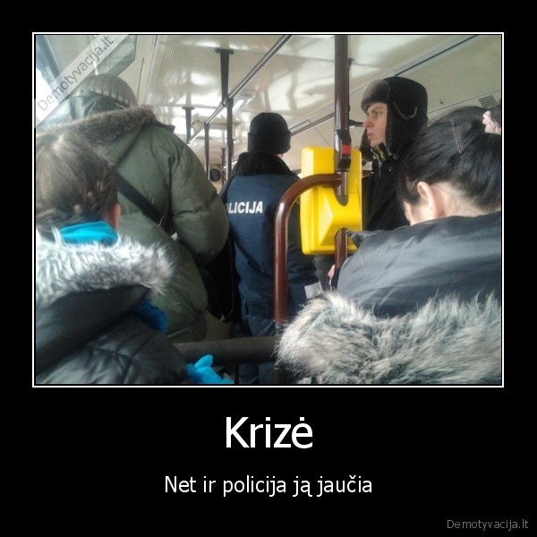 policija, mente, autobusas, krize, senute, apvirto, bebegdama, i, tvarta, kiauliu, sert