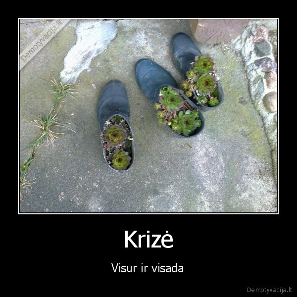 Krizė