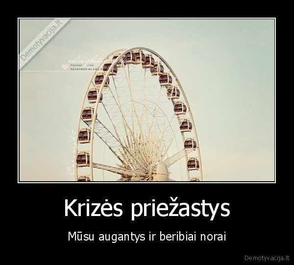 Krizės priežastys