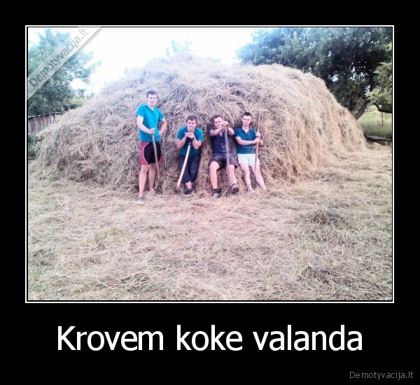 Krovem koke valanda
