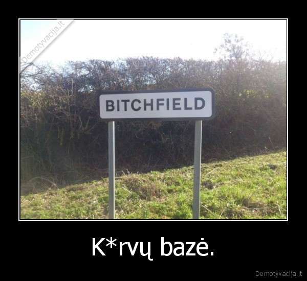bitchfield,zenklas,baze