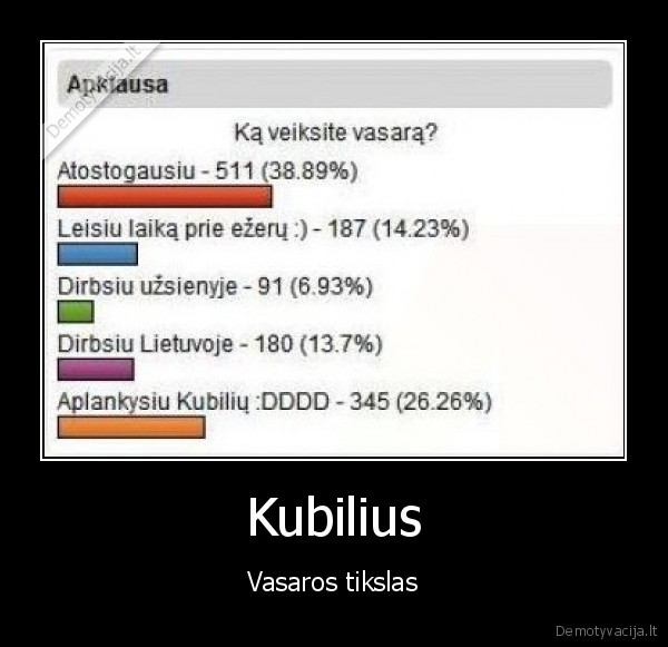 kubilius, vasara, patriotiskumas